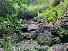 -海口火山口国家地质公园