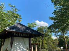 -惠州白鹭湖雅居乐喜来登度假酒店-采悦轩中餐厅