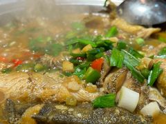 -全乐鱼馆·淳牌有机鱼直营店
