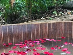 -三亚珠江南田温泉度假区