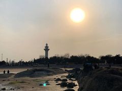 -渡海小渔村.老辈日照菜