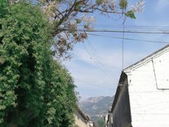 -济南马套将军山