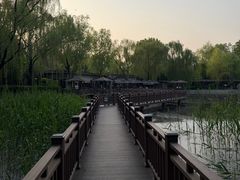 -潇湘甲鱼村(清河店)