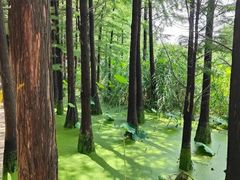 -云龙湖旅游景区