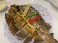 -骏莱海鲜鱼港(五角场店)