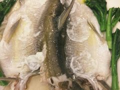 -顺悦酒家(嘉信城市广场店)