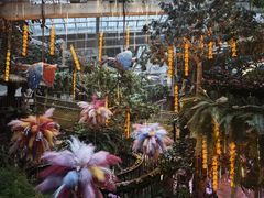 -正佳雨林生态植物园