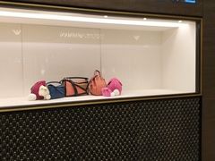 -LOEWE罗意威(万象城店)