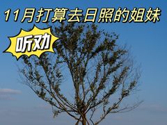 -巧克力渔家.小船海鲜家常菜(万平口店)