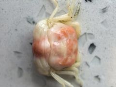 -巧克力渔家.小船海鲜家常菜(万平口店)