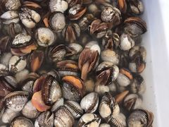 -宾朋海鲜特色美食餐厅·纯手工鲅鱼水饺(兴海路店)