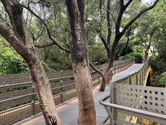 -福道