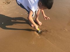 -渔岛海洋度假区