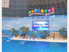 -泉城欧乐堡海洋极地世界