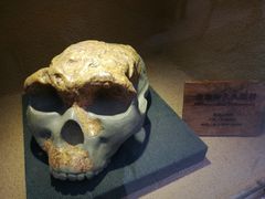 -陕西自然博物馆