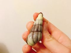 -Olé精品超市(上海虹桥南丰城店)