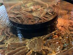 -蟹道乐(道顿堀本店)