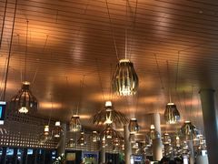 -贾特拉帕蒂·希瓦吉国际机场