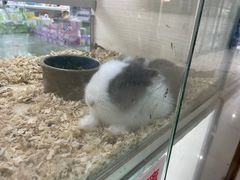 -三旗百汇商品城