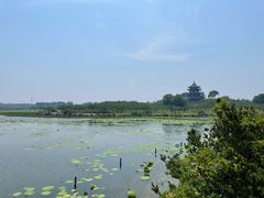 -上海海湾国家森林公园