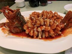 松鼠草鱼-东四民芳餐厅(世茂工三店)