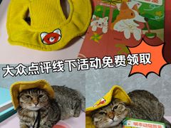 -瑞虹新天地月亮湾