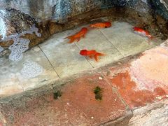 -澳门圣地牙哥古堡酒店