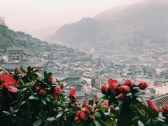 -一杯黔茶(西江千户苗寨古街店)