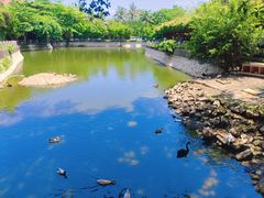 -三亚蜈支洲岛旅游区