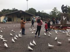 -东部华侨城