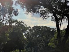 -大埔公路-马料水段香港中文大学(公交站)