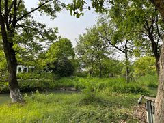 -西溪国家湿地公园