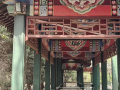 -济南国际园博园