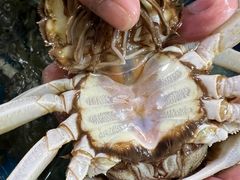 -王四营海鲜市场