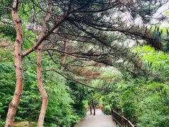-丹东凤凰山景区