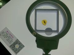 -上海昆虫博物馆