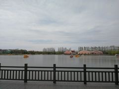 -上海长兴岛郊野公园