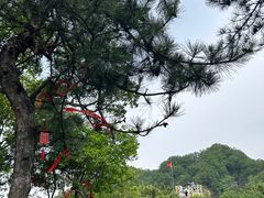 -西安祥峪森林公园