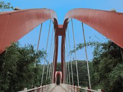 -玉树公园