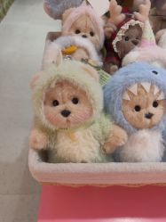 -TeddyTales莉娜熊(国贸店)