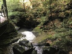 -藏龙百瀑风景区