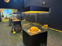 -国家会展中心
