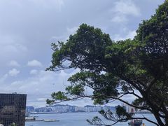 -太平山顶