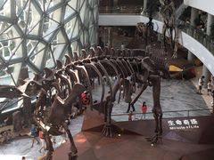 -自然博物馆新馆2楼餐厅