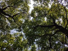 -东湖落雁景区