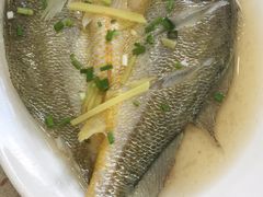-原味蒸汽海鲜(嵊泗店)