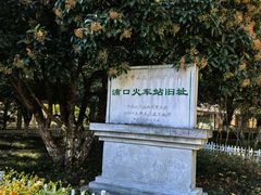 -浦口码头(轮渡站)