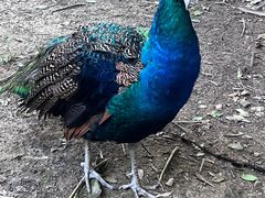 -南山风景名胜区