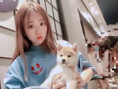 -逗柴咖啡屋·狗咖猫咖宠物桌游