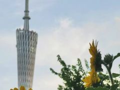 -海心沙亚运公园